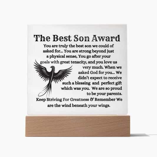 The Best Son To My Son Plaque