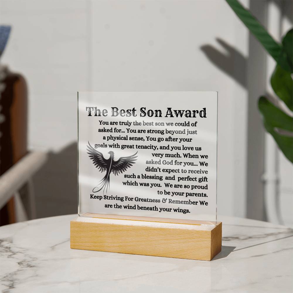 The Best Son To My Son Plaque