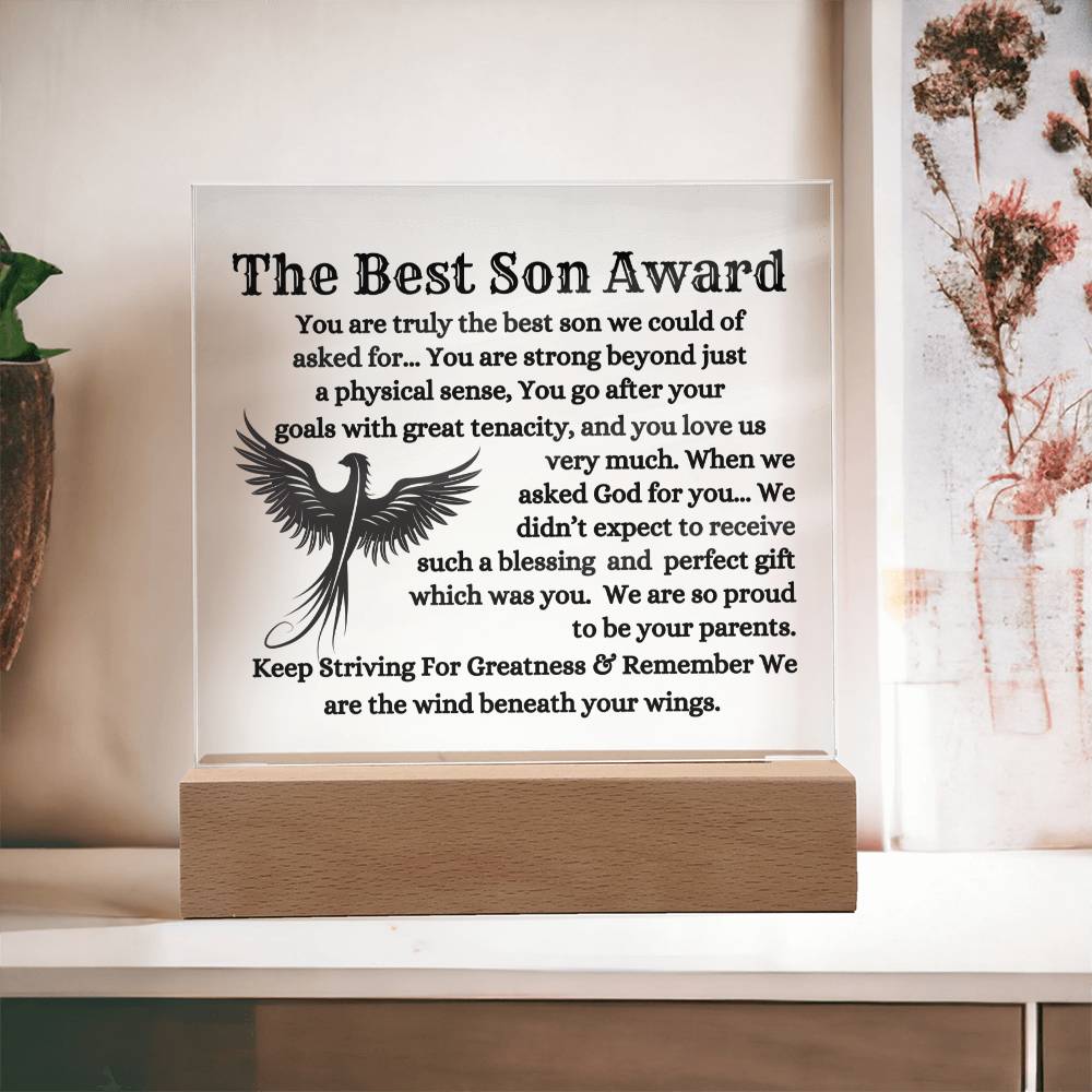 The Best Son To My Son Plaque