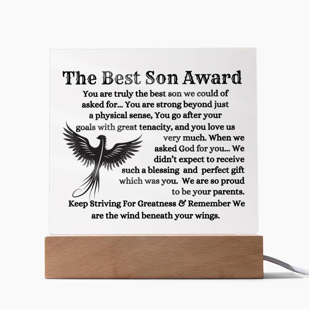 The Best Son To My Son Plaque