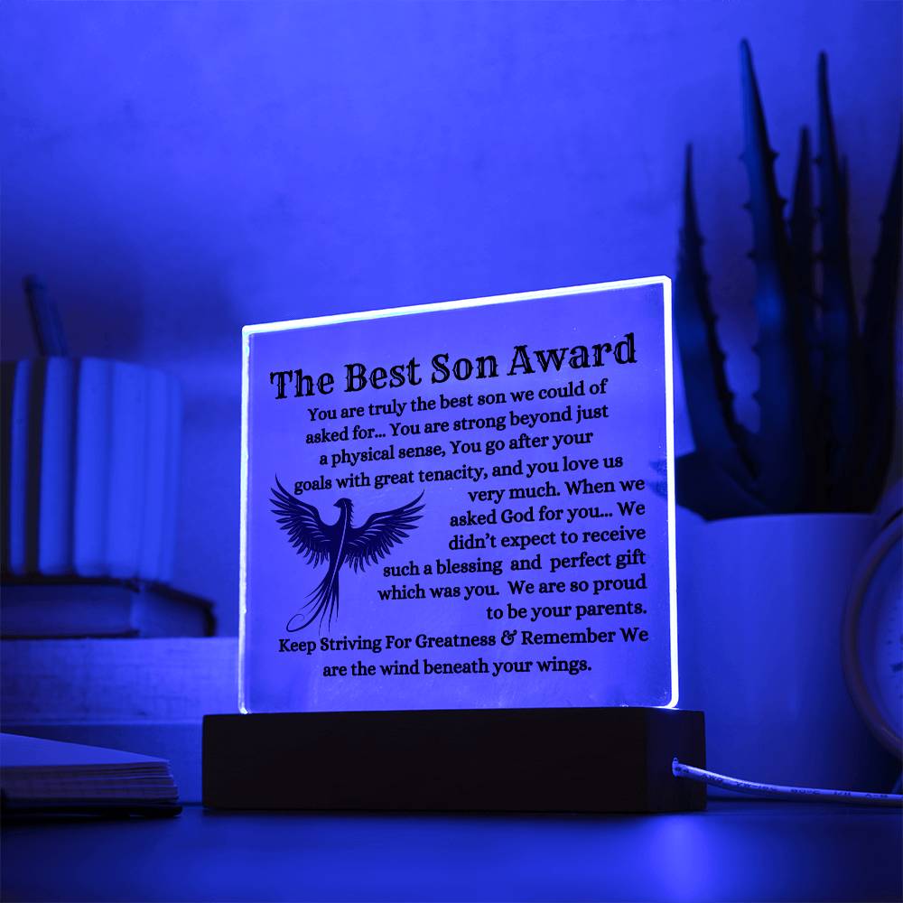 The Best Son To My Son Plaque